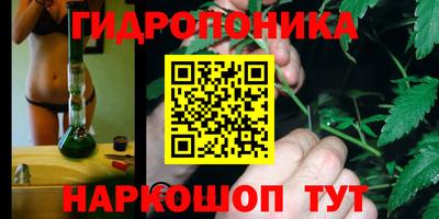 спиды Пугачёв