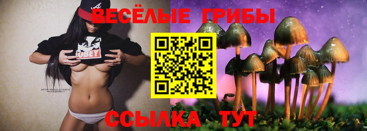 Галлюциногенные грибы GOLDEN TEACHER  Вход с VPN  Сергиев Посад  Галлюциногенные грибы Psilocybe 